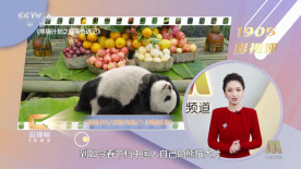伊人爱爱